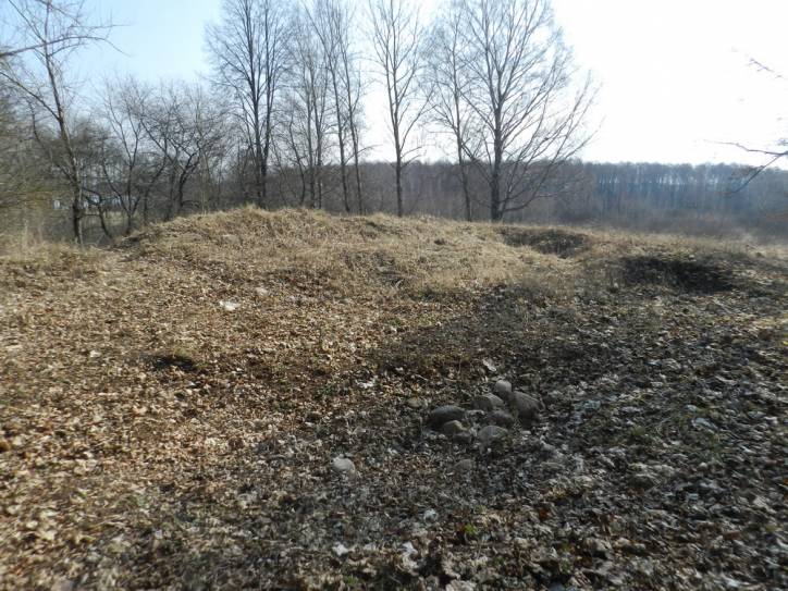 Miadzioł. Zamczysko 