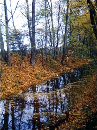 Альба. Парк «Альба»