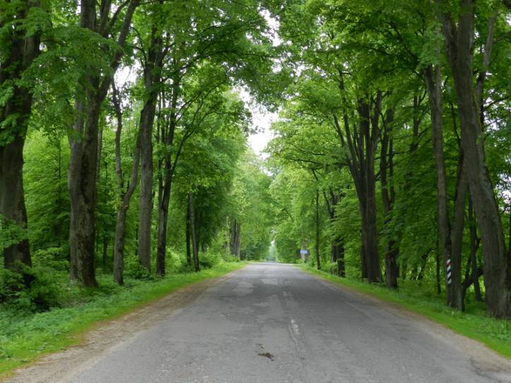 Альба. Парк «Альба»