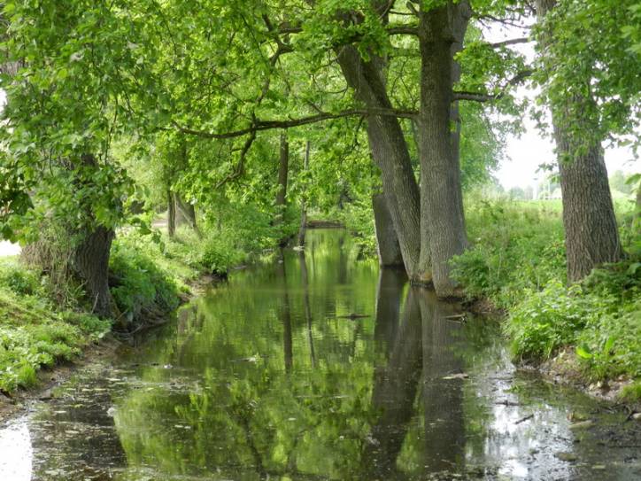 Альба. Парк «Альба»
