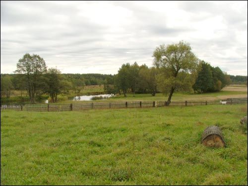 Kryvičy. Landscapes 
