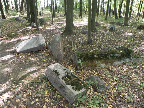 Smolewicze |  Cmentarz żydowski. Fragment cmentarza, 08 2008