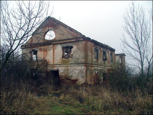 Vialiki Dvor (Harodziaj). Manor of Brachocki