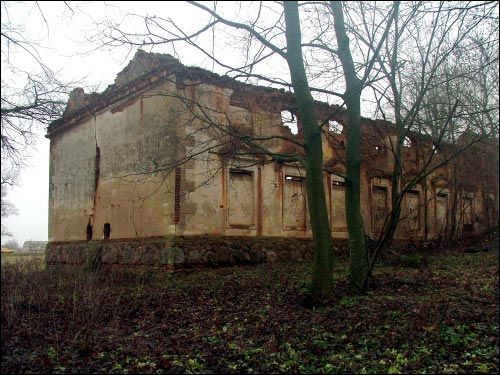 Vialiki Dvor (Harodziaj). Manor of Brachocki