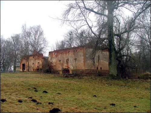 Vialiki Dvor (Harodziaj). Manor of Brachocki