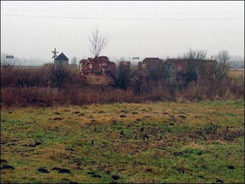 Vialiki Dvor (Harodziaj). Manor of Brachocki