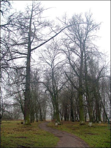 Vialiki Dvor (Harodziaj). Manor of Brachocki