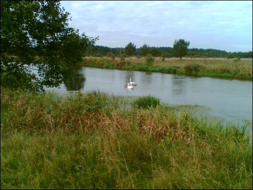  - Краявіды . Нёман каля Жукава Барка
