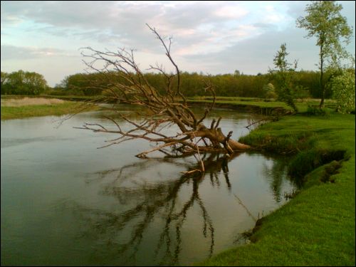  - Краявіды . Нёман каля Жукава Барка