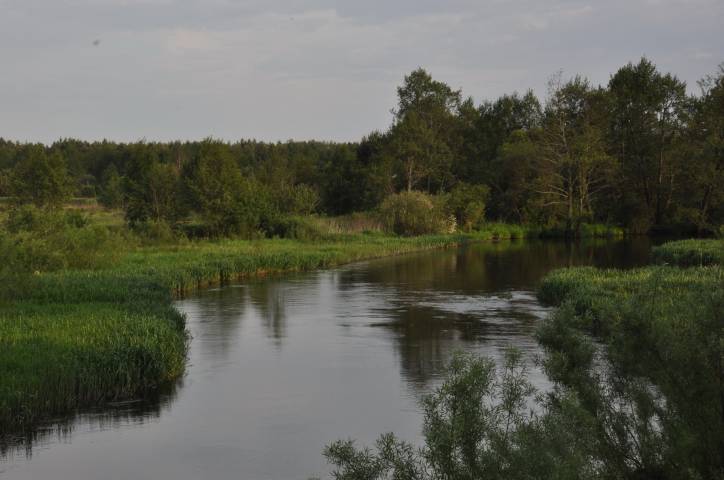 Kamiena. Glacial erratic «Varacišyn rock»