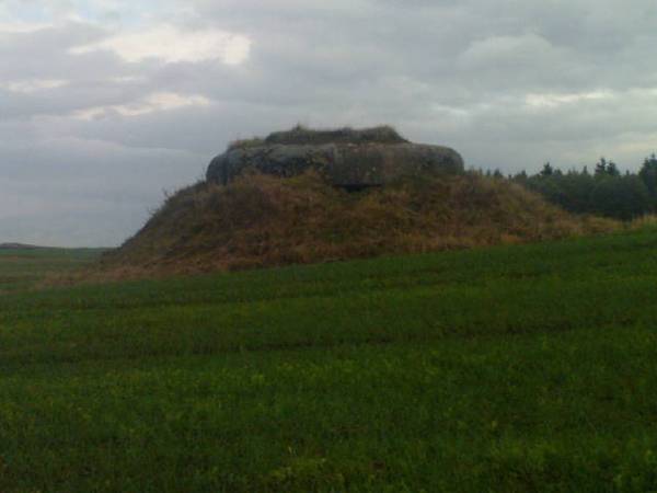 Dziaržynsk (Kojdanava). Defensive Fortifications 