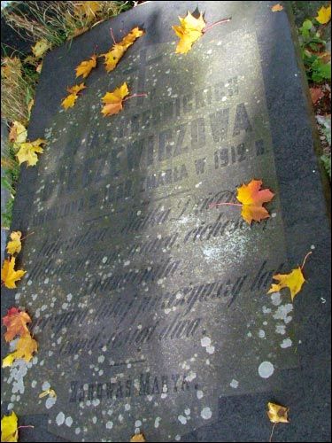 Viazyń. cemetery Old Catholic