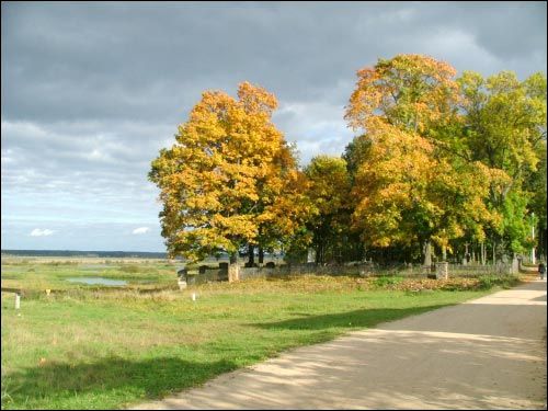 Viazyń. cemetery Old Catholic