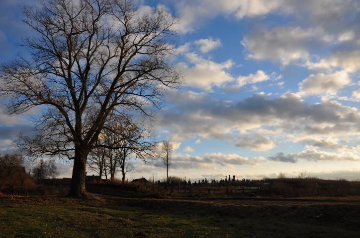 Оборок (Полочаны). Кладбище старое католическое