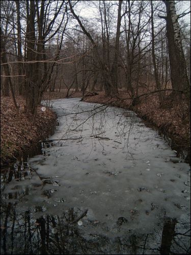 Stańkava. Landscapes 