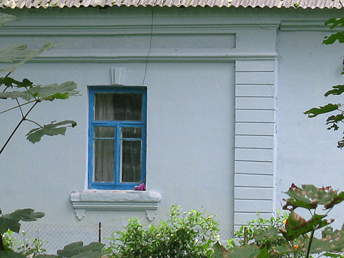 Tatarščyna. Manor park of the former Lenski (Łęski) Manor