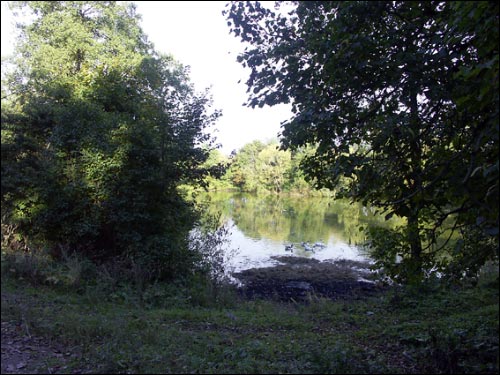 Czyżewicze. Zespół dworsko-parkowy 