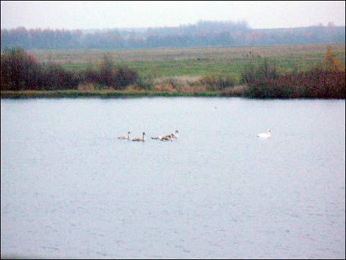 Małaja Lucinka. Landscapes 