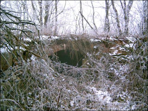  - Dwór gospodarczy Jeleńskich. Ruiny dworu