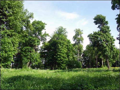 Засулле. Сядзібна-паркавы ансамбль Крупскіх