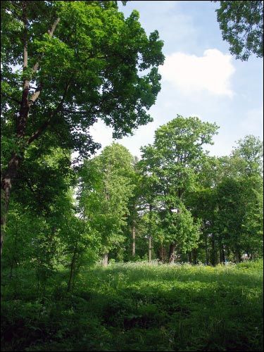 Засулле. Сядзібна-паркавы ансамбль Крупскіх