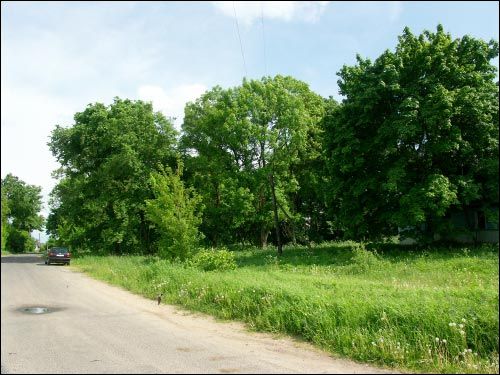 Засулле. Сядзібна-паркавы ансамбль Крупскіх