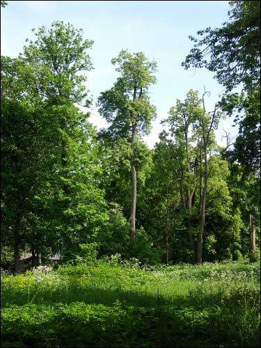 Засулле. Сядзібна-паркавы ансамбль Крупскіх