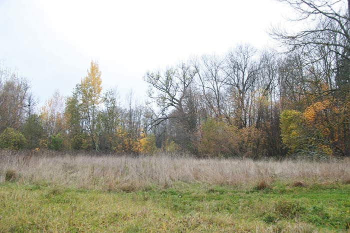 Старинки. Усадебно-парковый ансамбль Богдановичей