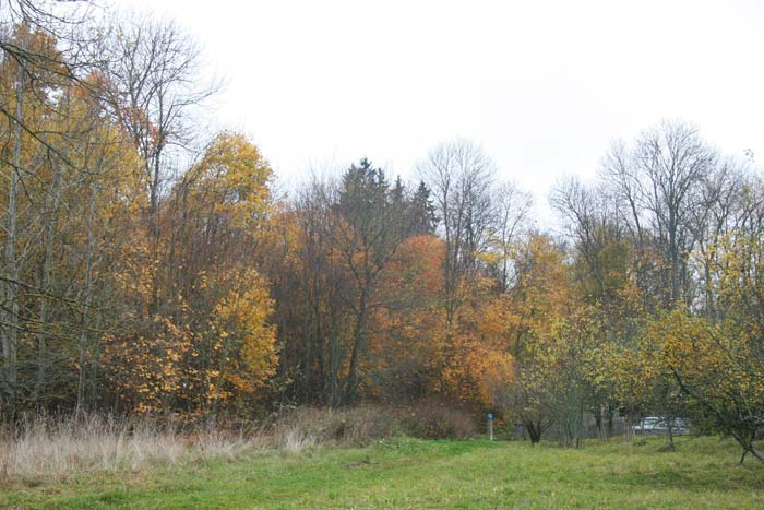 Старинки. Усадебно-парковый ансамбль Богдановичей