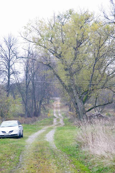Старинки. Усадебно-парковый ансамбль Богдановичей