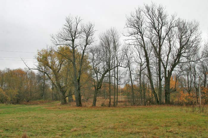Старинки. Усадебно-парковый ансамбль Богдановичей