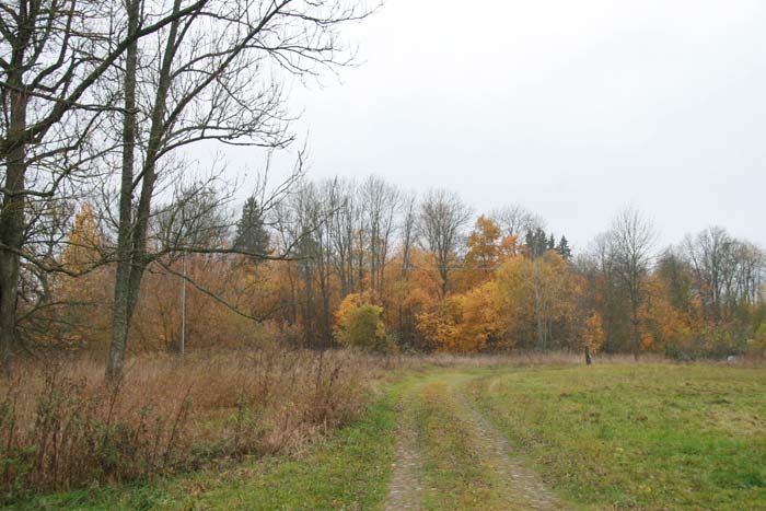 Старинки. Усадебно-парковый ансамбль Богдановичей