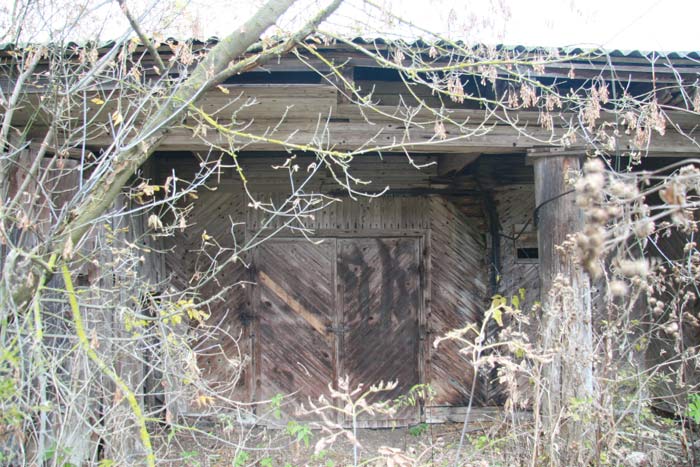 Старинки. Усадебно-парковый ансамбль Богдановичей