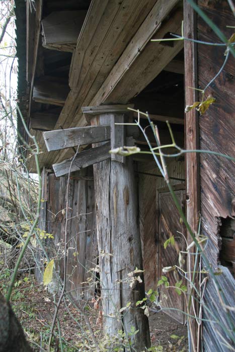 Старинки. Усадебно-парковый ансамбль Богдановичей