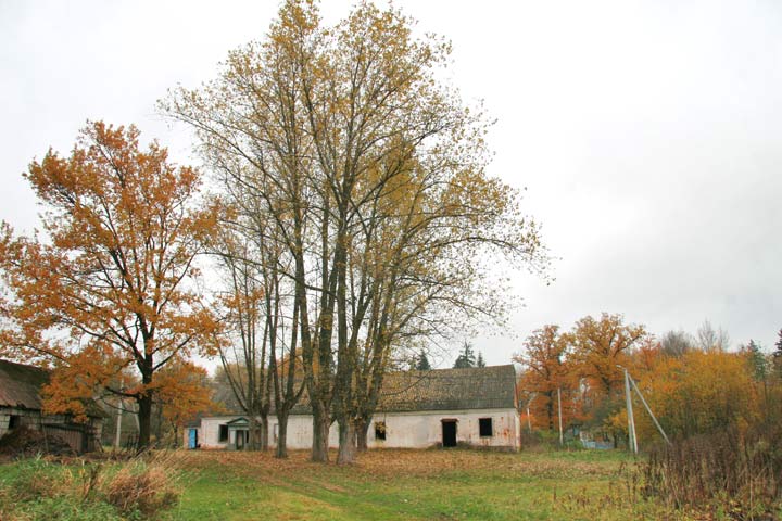 Матьковцы. Хозяйственный двор Богдановичей
