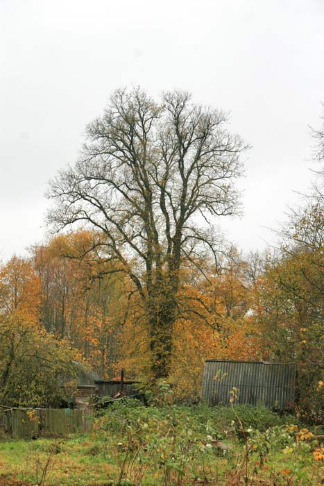 Матьковцы. Хозяйственный двор Богдановичей
