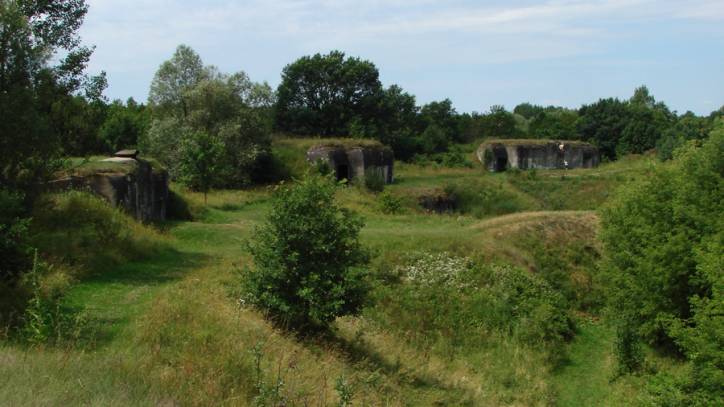 Arkadyja.  Fort V