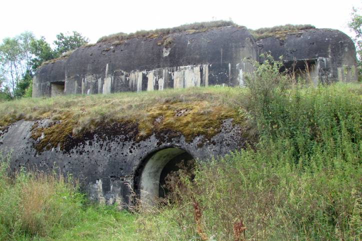 Arkadyja.  Fort V