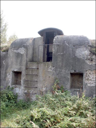 Arkadyja.  Fort V