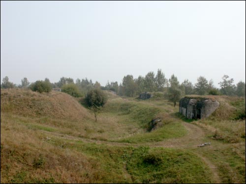 Arkadyja.  Fort V
