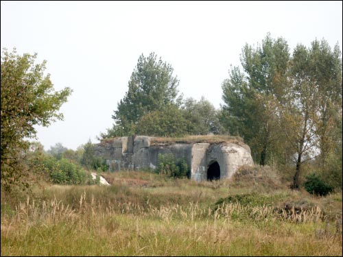 Arkadyja.  Fort V