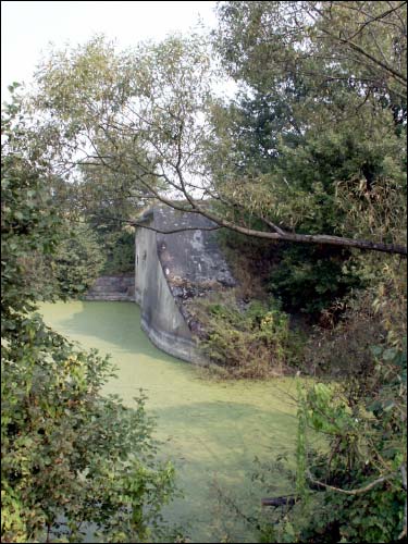 Arkadyja.  Fort V