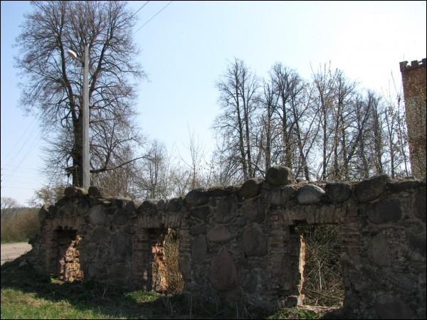  - Park dworski (pozostałości). Ruiny dworskie