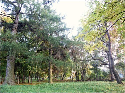  - Manor of Jelski. 