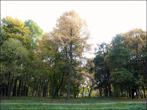  - Manor of Jelski. 