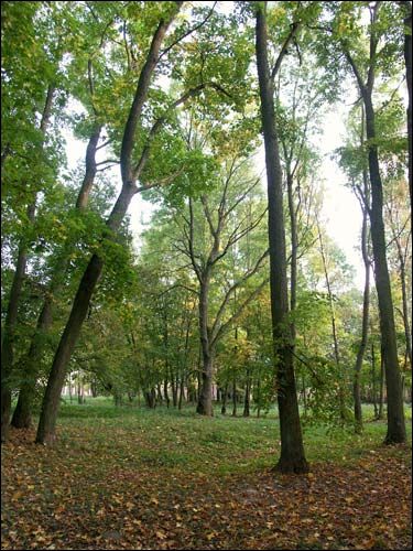  - Manor of Jelski. 