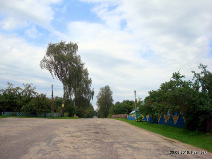 Костеневичи. Пейзажи 