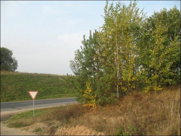 Dziamidavičy. Landscapes 