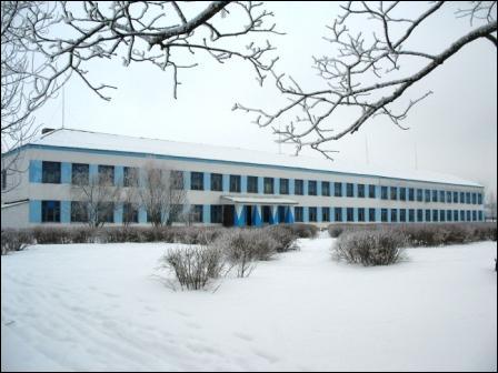 Narocz (Kobylnik). W miasteczku 