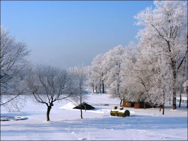 Narocz (Kobylnik). W miasteczku 